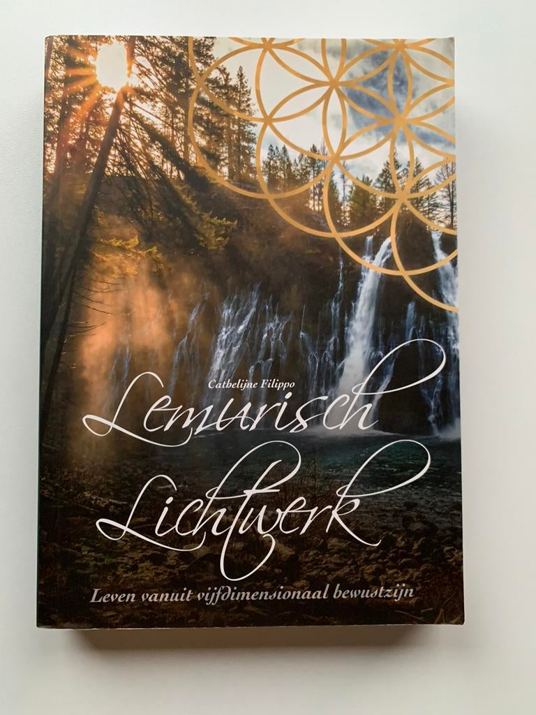Lemurisch Lichtwerk - Cathelijne Filippo, Boeken, Psychologie, Zo goed als nieuw, Verzenden