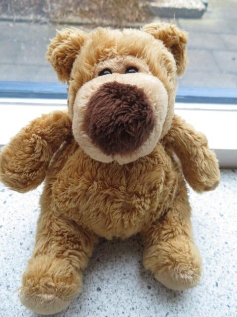 Beer bruin velours merk Evora Kruidvat meet ca 18 cm, Ophalen of Verzenden, Zo goed als nieuw, Beer