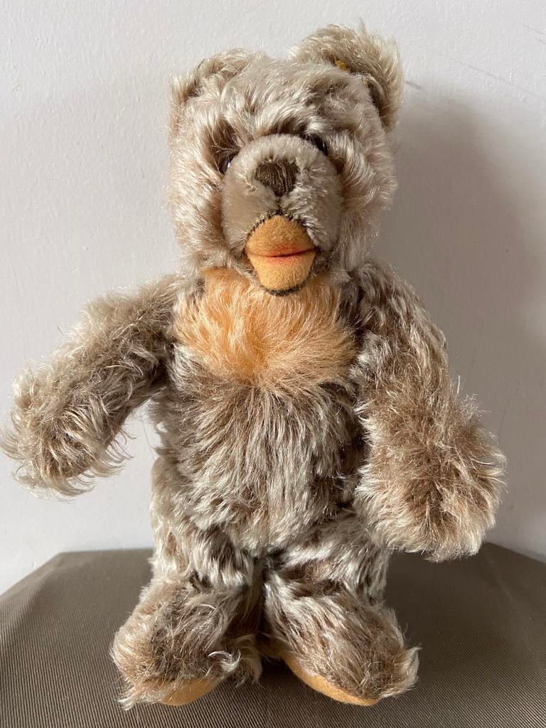 Steiff beer Zotty, 22cm, 6322, Ophalen of Verzenden