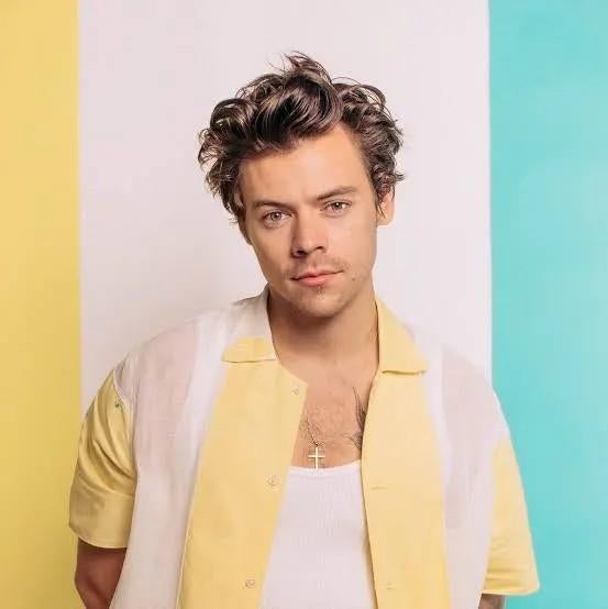 Harry styles kaartjes VIP DISCO package (4x) 22 mei, Tickets en Kaartjes, Drie personen of meer