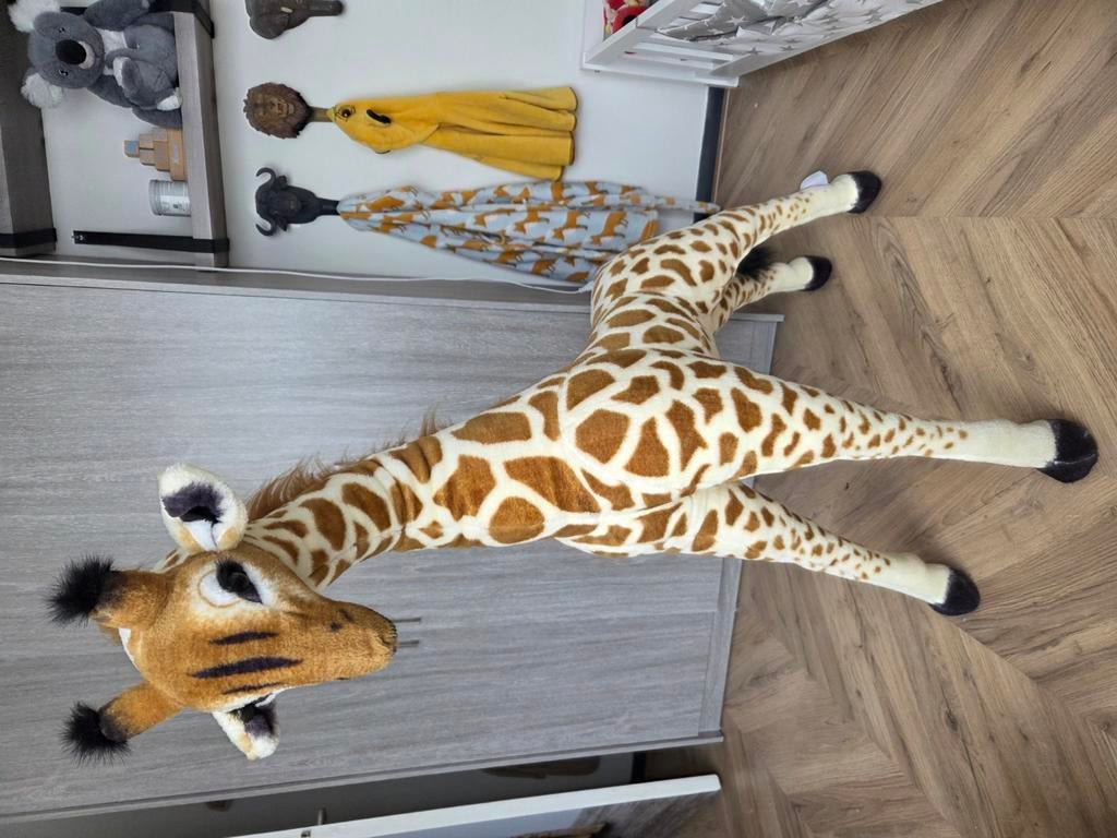 Leuke giraf, Ophalen, Zo goed als nieuw, Wanddecoratie