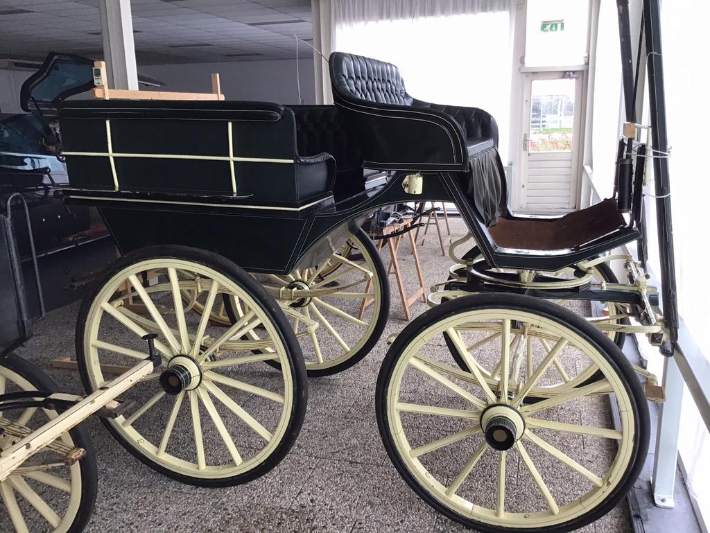 Wagonette rijtuig, Gebruikt, Paard