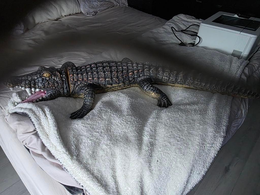 Krokodil, Ophalen of Verzenden