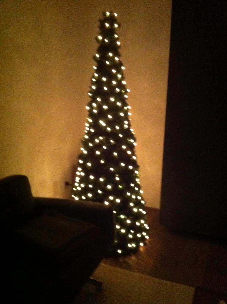 Buitenkans Kerstboom voor buiten & binnen, Diversen, Kerst, Ophalen