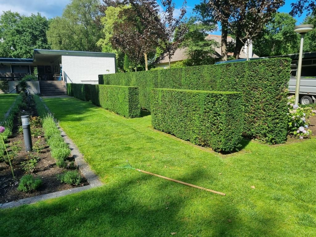 Hovenier, Overige vormen