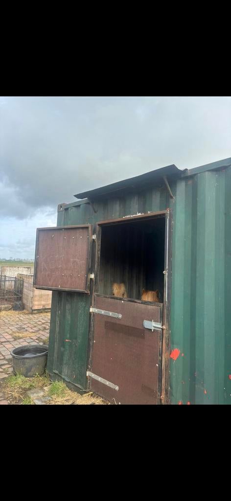 Stal container, Dieren en Toebehoren, Stalling en Weidegang