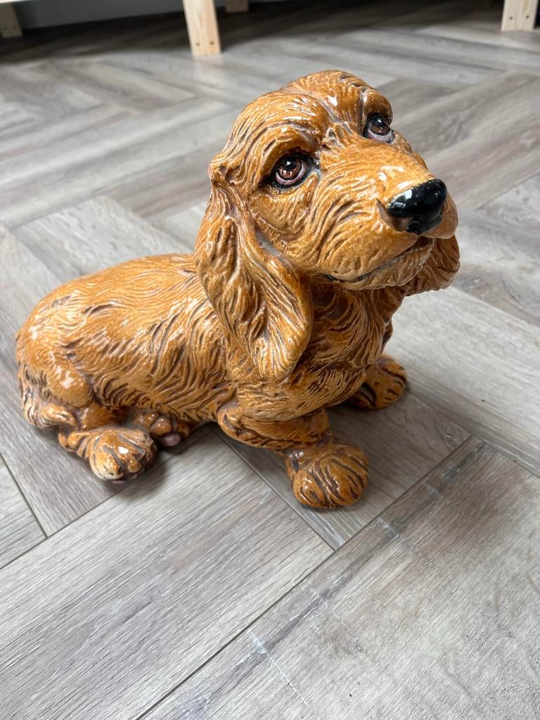 Ruw harige porseleinen teckel, Ophalen