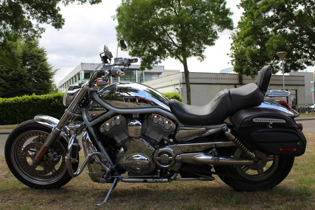Harley-Davidson VRSC V-Rod V - Rod - foto 2