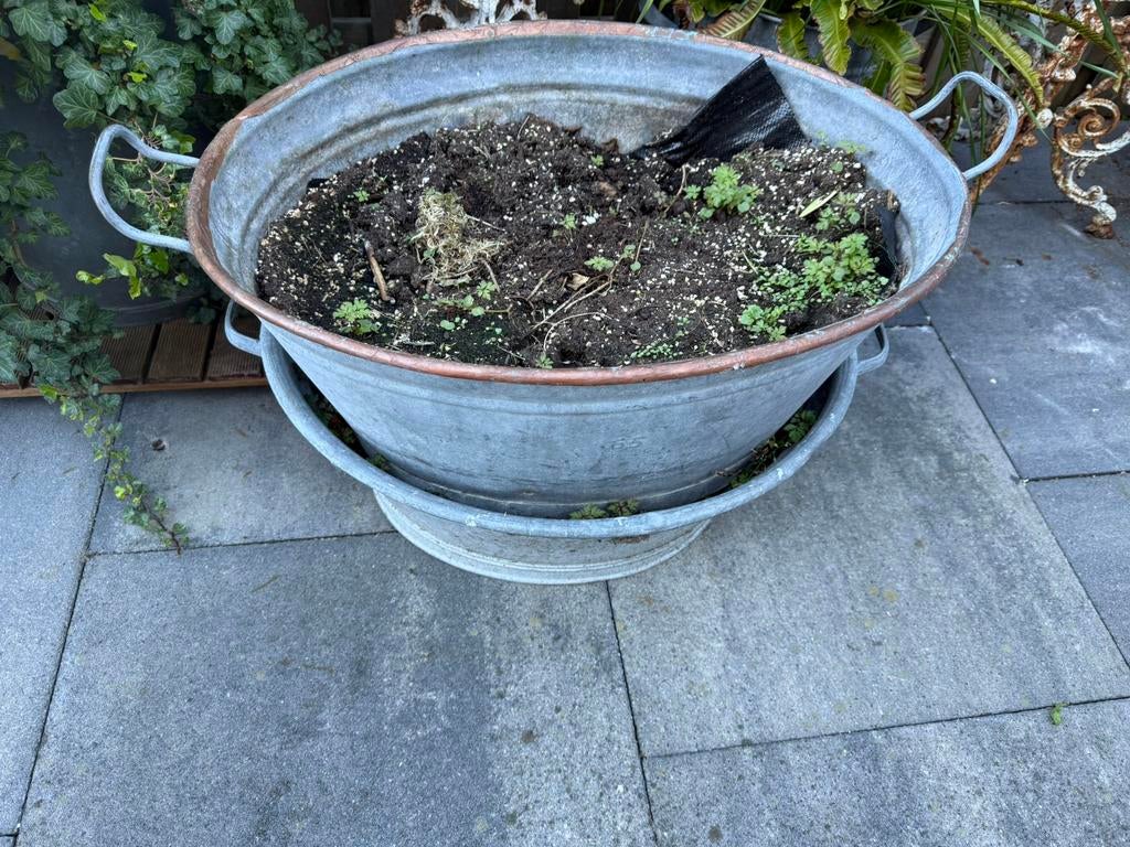 Teilen bad kikker zink brons, Ophalen, Zo goed als nieuw, Metaal, Minder dan 30 cm