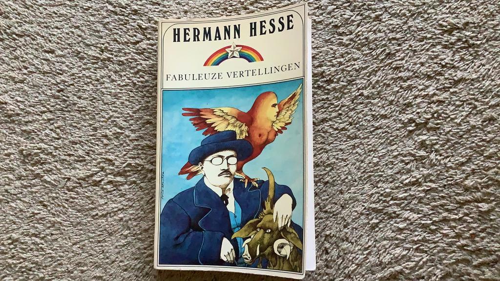 Hermann Hesse, Fabuleuze vertellingen, Boeken, Literatuur, Ophalen of Verzenden, Zo goed als nieuw, Nederland