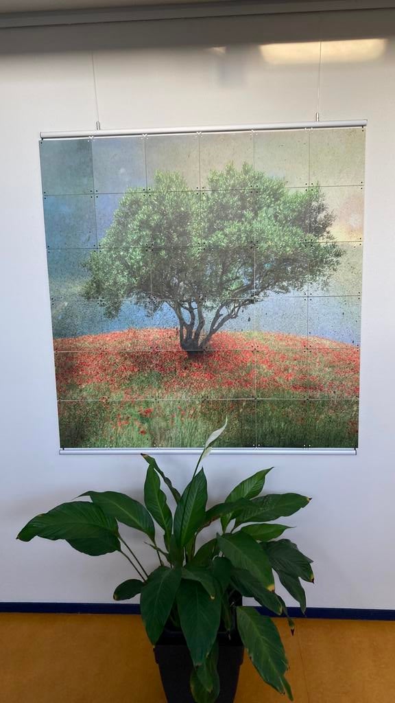 Ixxi schilderij, Ophalen of Verzenden