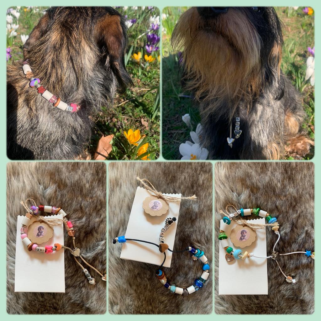 Hippe, stoere en functionele anti-teken/vlooien ketting 🤍🤎, Ophalen of Verzenden, Nieuw