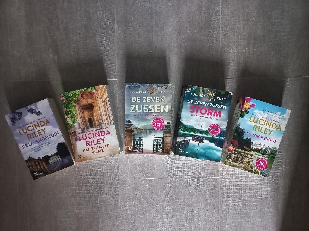 Boeken, Boeken, Romans, Zo goed als nieuw, Nederland, Ophalen of Verzenden