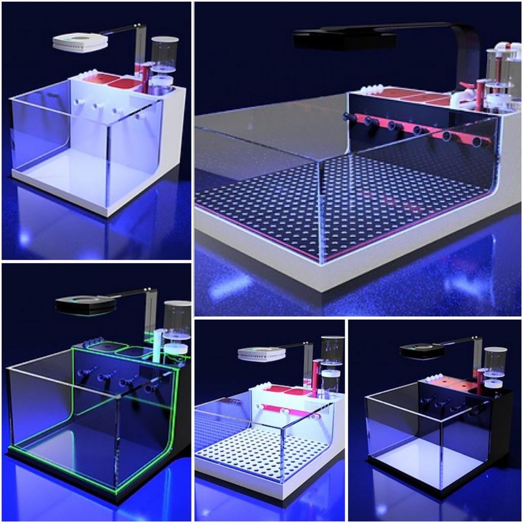 Diverse stekkenbakken te koop voor koraal, Ophalen