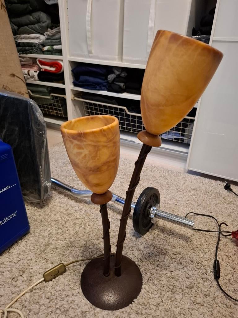 Super mooie dressoirlamo, Ophalen