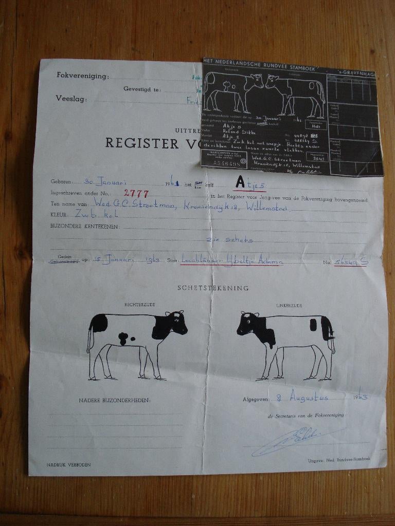 uittreksel jong vee fokvereniging rundvee stamboek 1963, Ophalen, Gebruikt, Boerderijdier, Overige typen