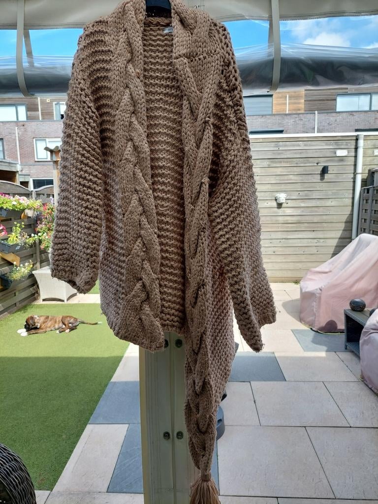 Vesten diverse maten van L tot 46, Ophalen of Verzenden, Zo goed als nieuw, Grijs, Trui of Vest