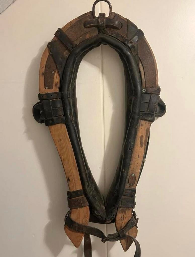 Antiek Decoratied Paardengareel, Ophalen of Verzenden, Zo goed als nieuw, Overige soorten