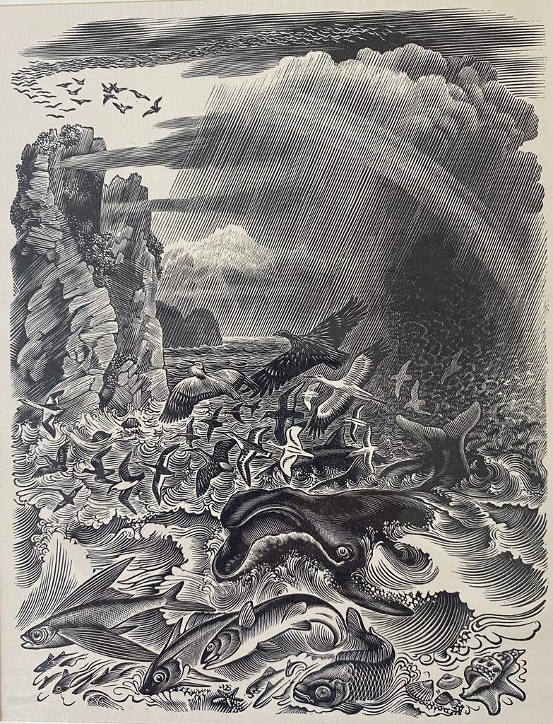 Dirk van Gelder gravure, Ophalen of Verzenden