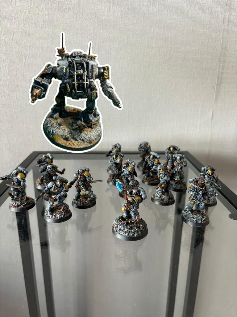 Space Wolves oude Combat Patrol geschilderd veel gekitbashed, Ophalen of Verzenden, Gebruikt, Groter dan 1:35, Figuur of Figuren