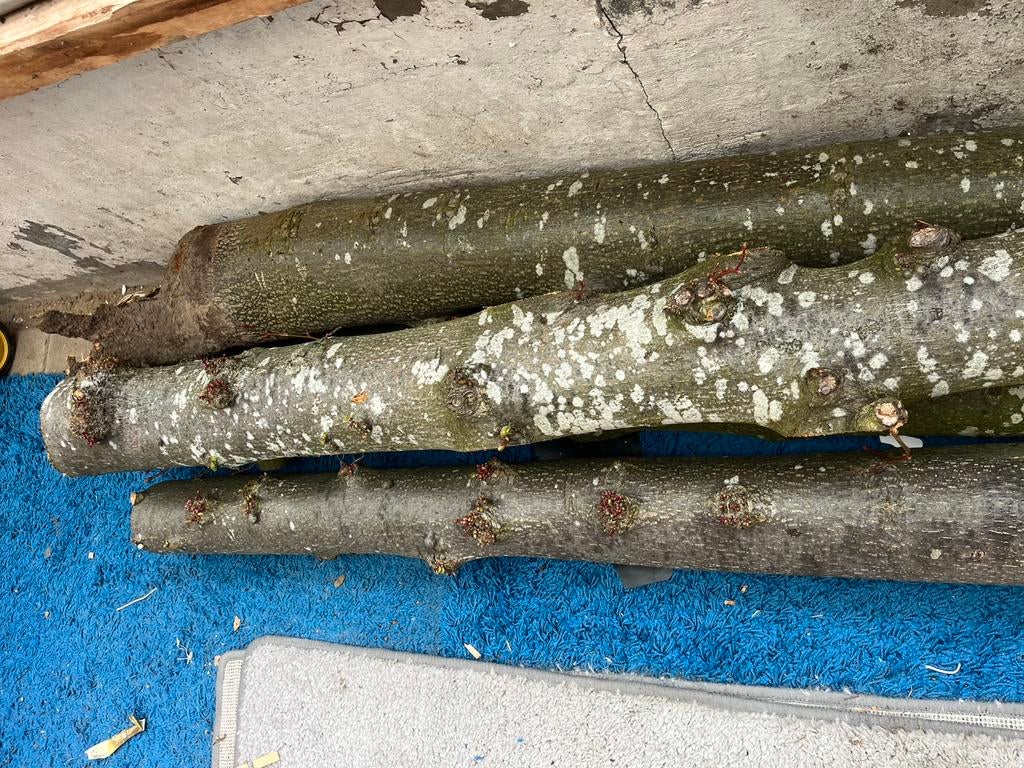 Kachel of vuurkorf hout, Tuin en Terras, Haardhout, Minder dan 3 m³, Ophalen