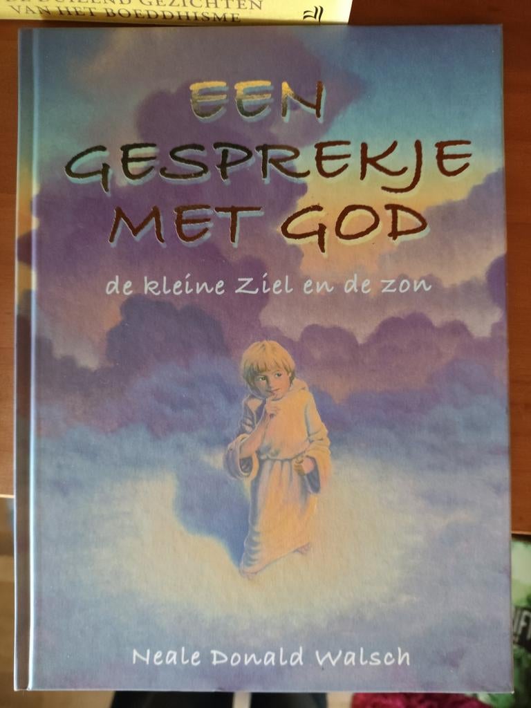 N.D. Walsch - Een gesprekje met God, Ophalen of Verzenden, Zo goed als nieuw, N.D. Walsch