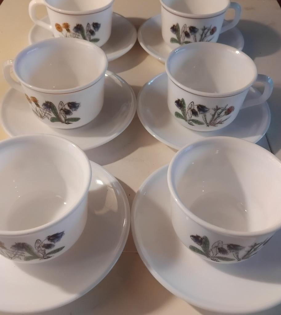 6st Vintage Arcopal Opalineglas kop en schotels "Fleur d'Été, Ophalen of Verzenden