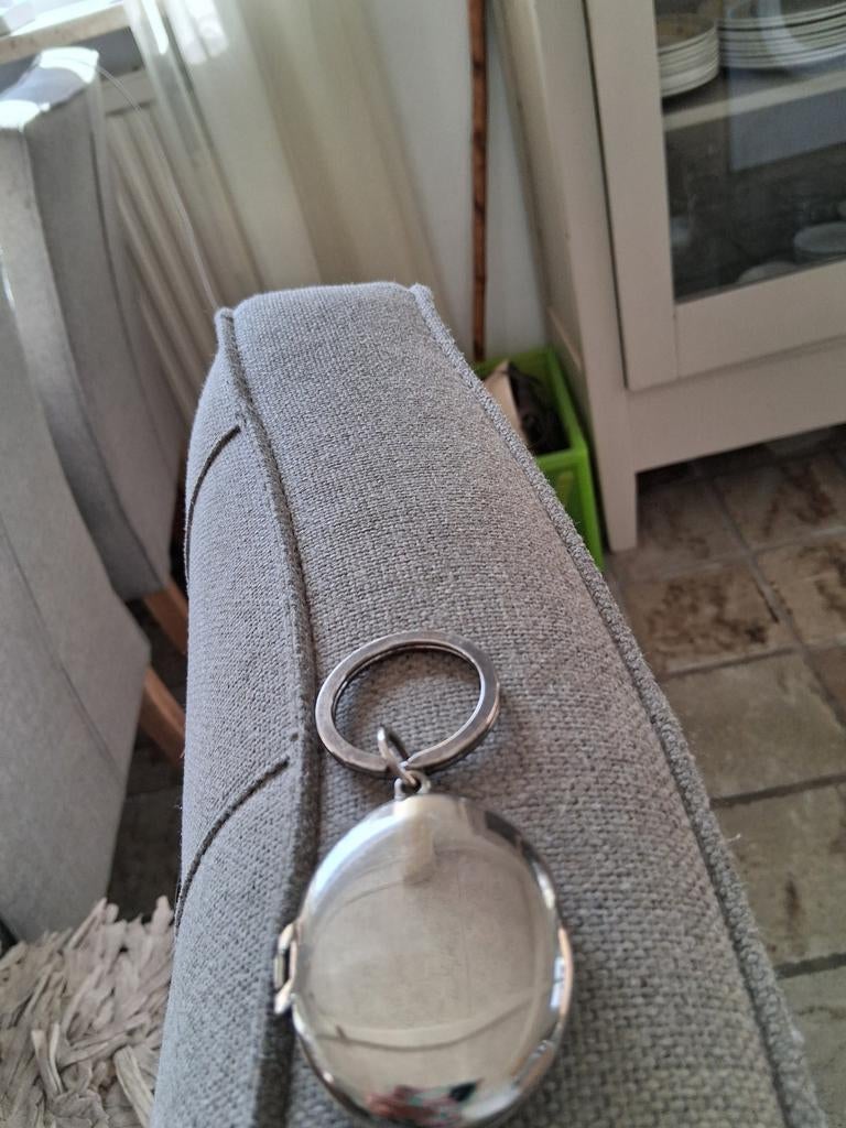 Verzilverde  madillon  3.50, Ophalen