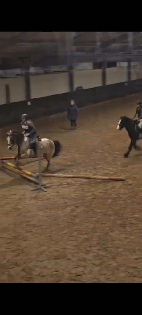 Verzorg pony/paard gezocht, Dieren en Toebehoren, Ophalen of Verzenden
