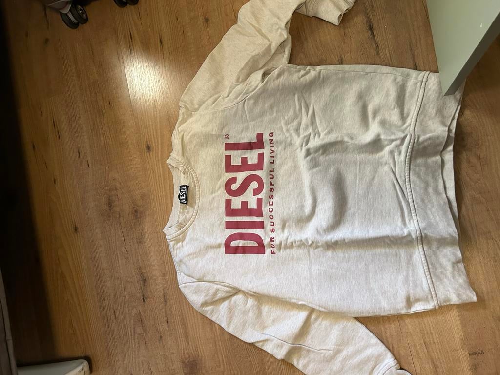 Witte Diesel trui - weinig gedragen, Ophalen of Verzenden, Gedragen, Maat 46 (S) of kleiner, Wit