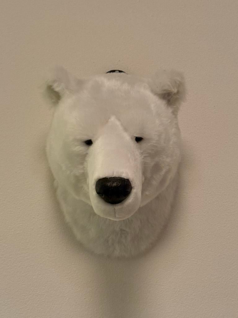 IJsbeer Hoofd Wanddecoratie, Ophalen of Verzenden, Zo goed als nieuw