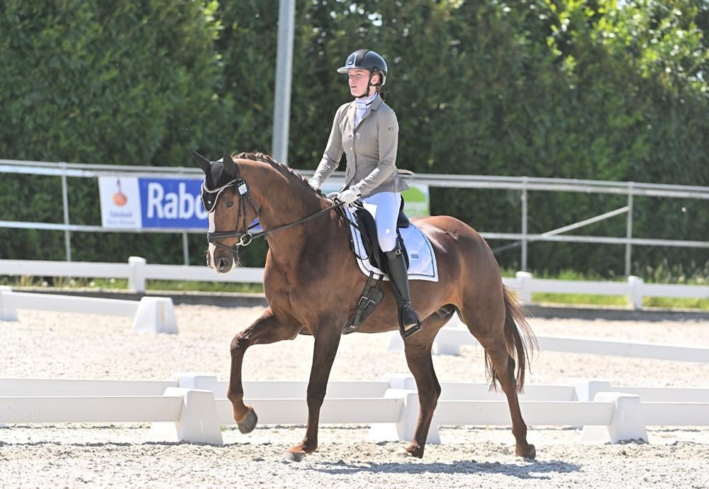 Paardrijles/instructie aangeboden, Dieren en Toebehoren, Ophalen, Zo goed als nieuw