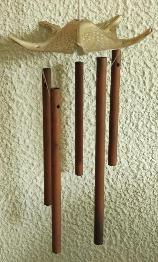 Gong, Ophalen of Verzenden, Gebruikt, Overige soorten