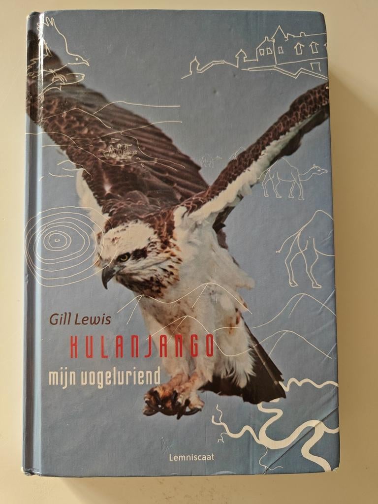 Gill Lewis - Kulanjango, Boeken, Kinderboeken | Jeugd | 10 tot 12 jaar, Zo goed als nieuw, Ophalen of Verzenden