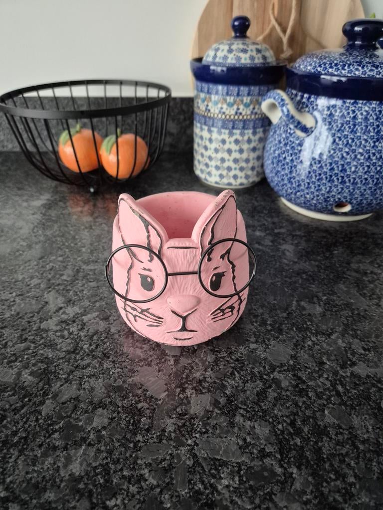 Plantenpot haas met bril roze, Ophalen of Verzenden