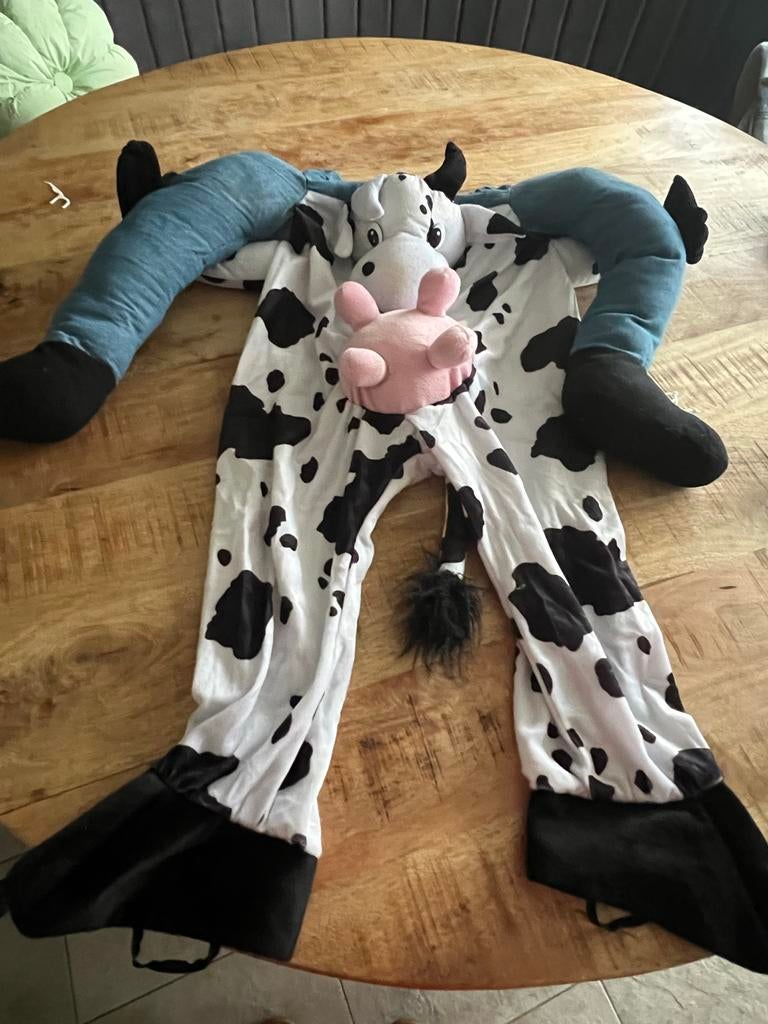 Carnaval pakken kinderen maat 152, Ophalen, Zo goed als nieuw, 146 t/m 152, Jongen of Meisje