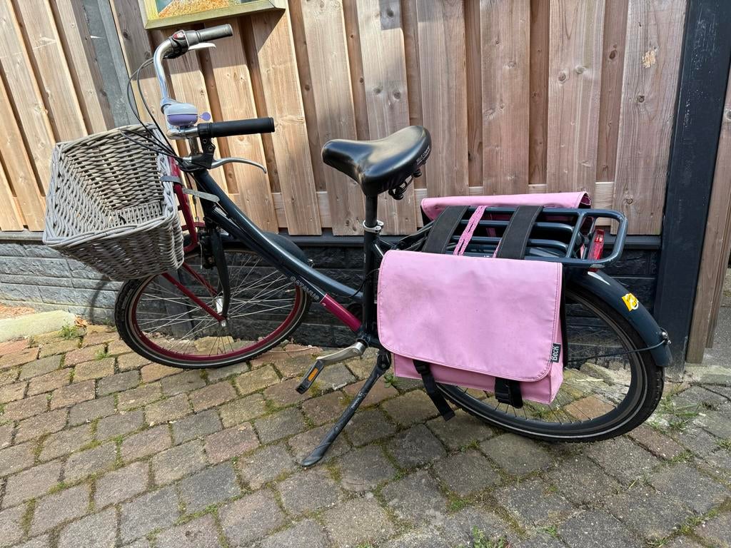 Kinderfiets (framemaat 43) met mandje en fietstassen, Ophalen, Gebruikt, 20 inch of meer