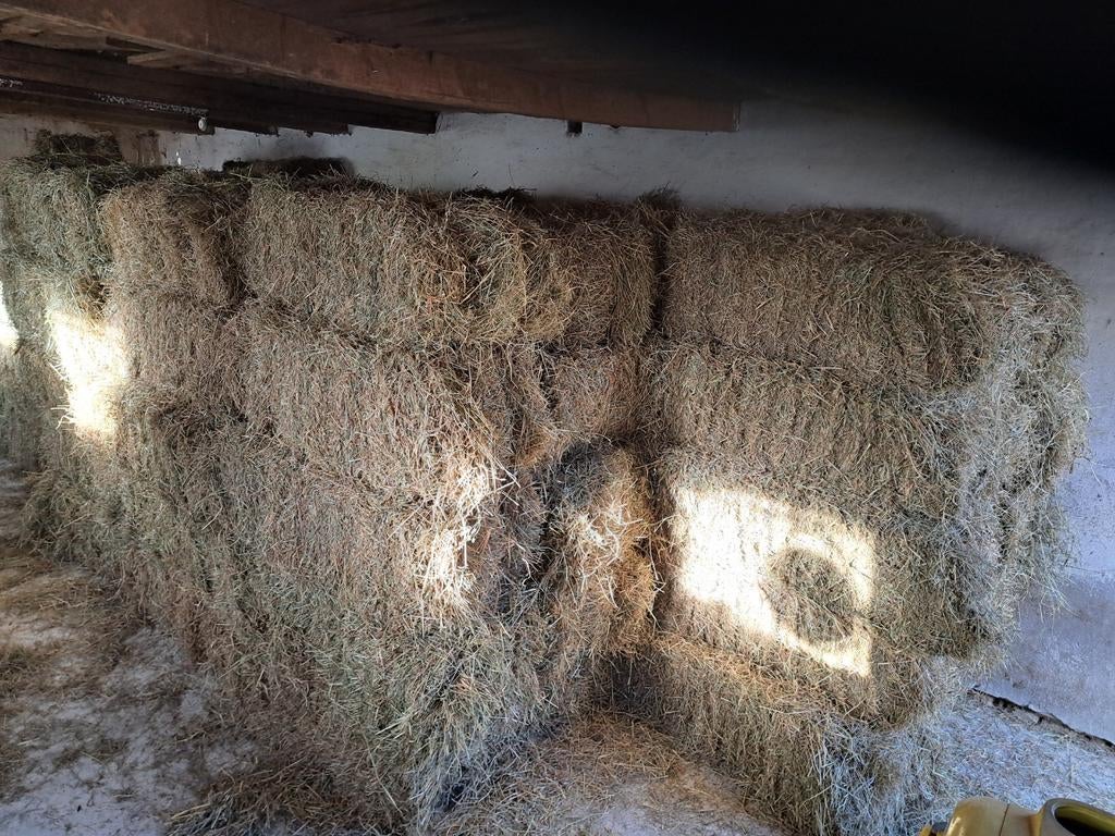 Hooi pakjes ronde balen, Dieren en Toebehoren, Dierenvoeding, Ophalen of Verzenden, Vee