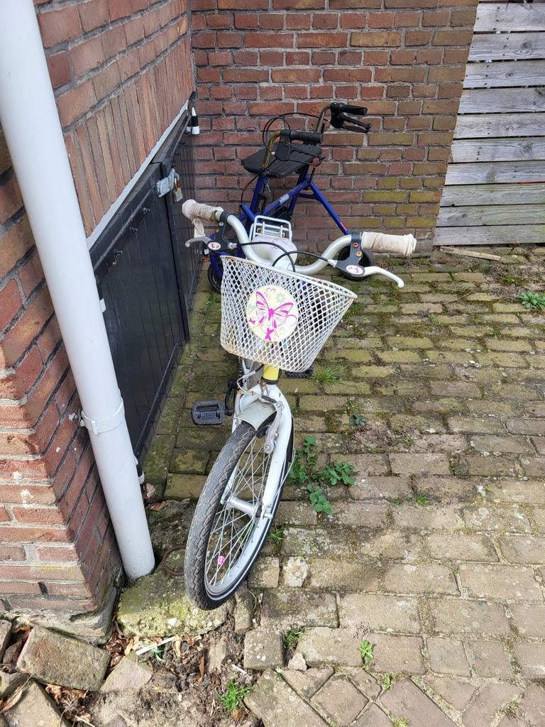 Leuke meisjesfiets met mandje en bagagedrager, Ophalen, Gebruikt, 20 inch, Handrem