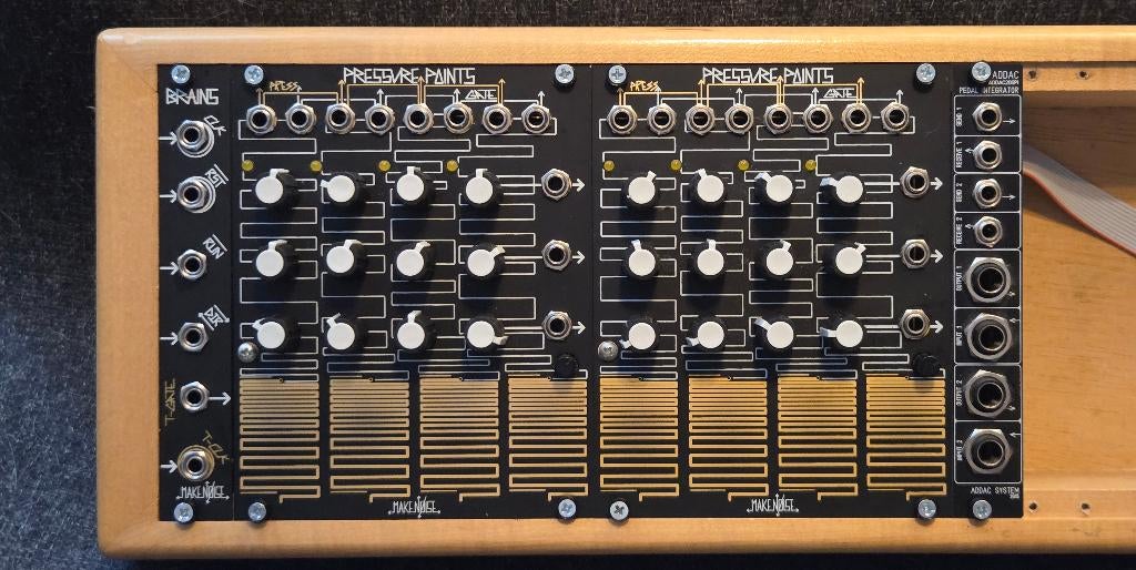 Make Noise 2x Pressure Points + Brains Eurorack modules, Ophalen of Verzenden, Gebruikt, Overige aantallen, Overige merken