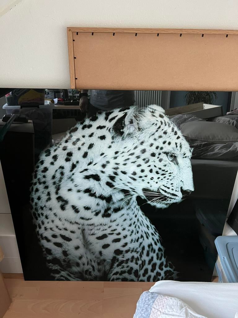 Schilder glas panter 100x100cm zwart-wit, Ophalen, Zo goed als nieuw, Schilderij, 75 tot 100 cm