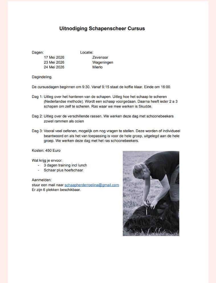 Schapen Scheer cursus