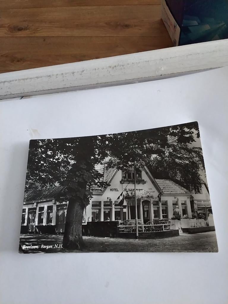 BERGEN N.H.  BREELAAN, Ophalen of Verzenden, Voor 1920, Noord-Holland