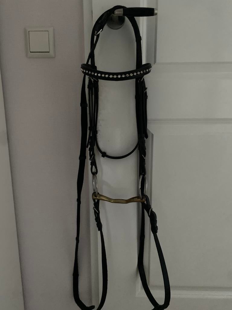 Hoofdstel maat cob, Ophalen of Verzenden, Gebruikt, Recreatie