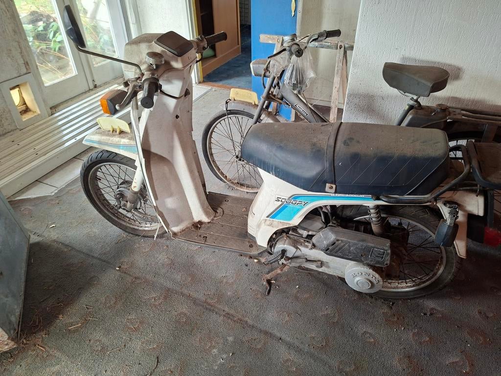 Honda Scoopy schuurvondst - Zeer nette staat, geel kenteken, Fietsen en Brommers, Brommers | Honda, Ophalen of Verzenden