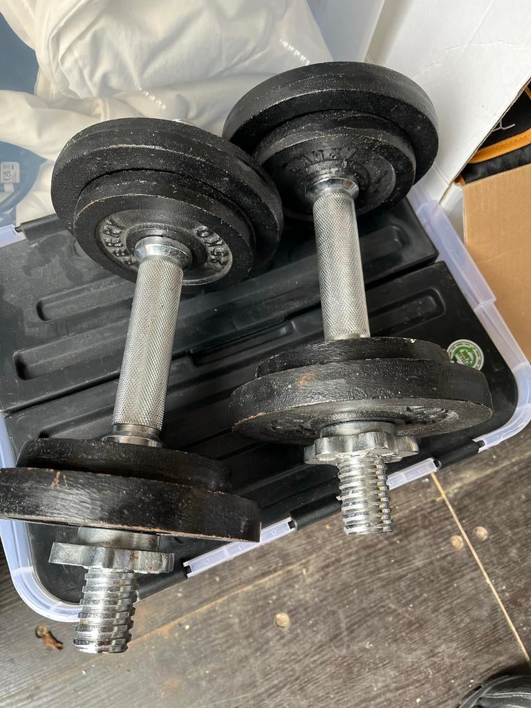 Twee dumbells met 8 kg aan schijfgewicht, Ophalen, Dumbbell, Gebruikt, Armen