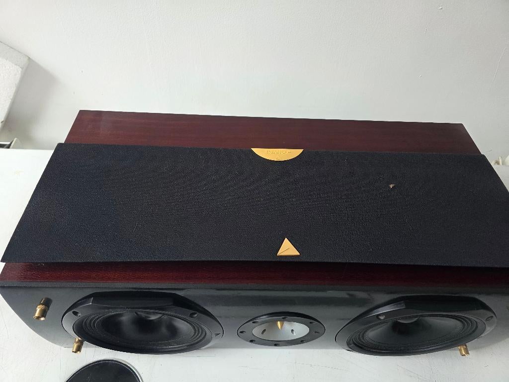 triangle, Ophalen of Verzenden, 120 watt of meer, Front, Rear of Stereo speakers, Overige merken