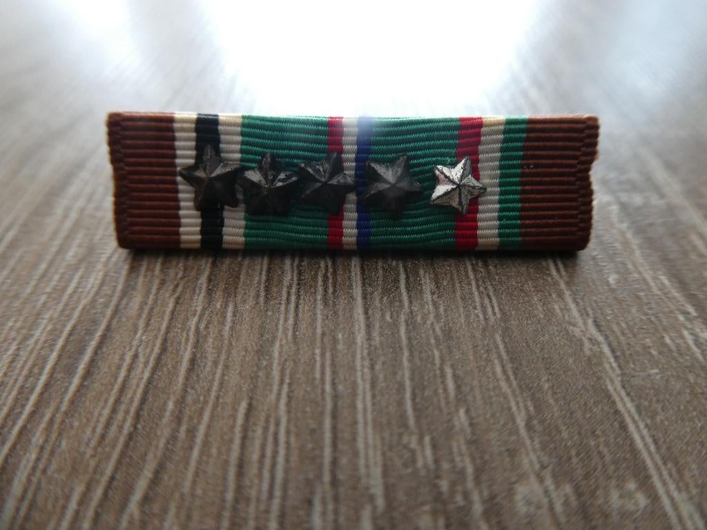 US European - African - Middle East - Campagin Baton., Ophalen of Verzenden, Landmacht, Amerika, Embleem of Badge