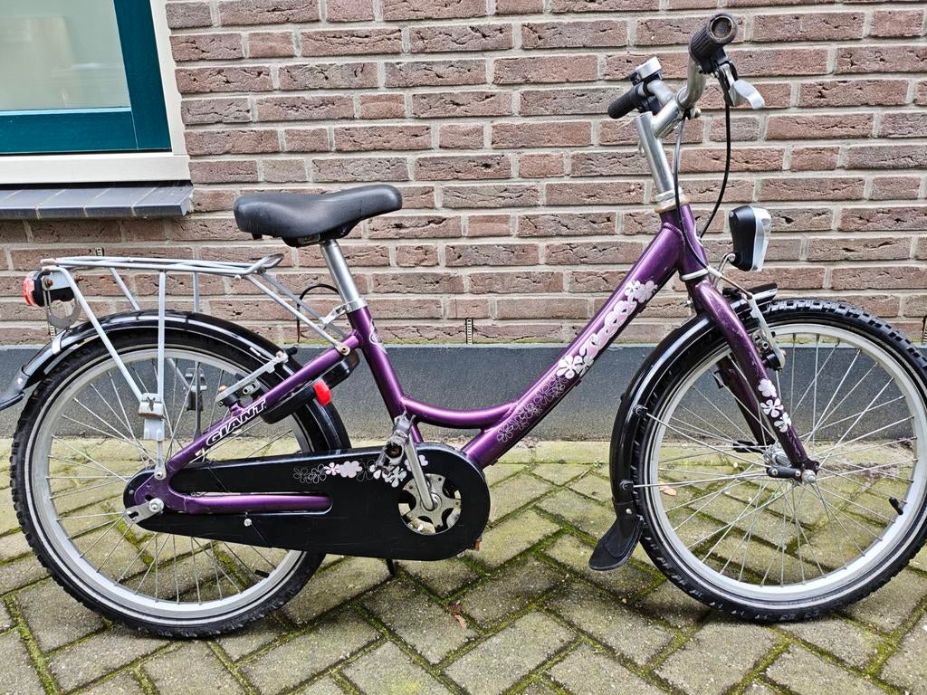 Leuke paarse meisjesfiets met handrem en nieuwe verlichting, Fietsen en Brommers, Fietsen | Meisjes, Ophalen, Giant, Handrem, Gebruikt