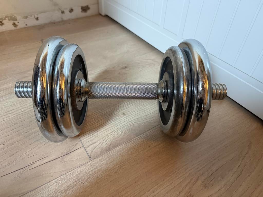 Verstelbare ijzeren dumbbell - 10 kg, Ophalen, Gebruikt, Armen, Dumbbell